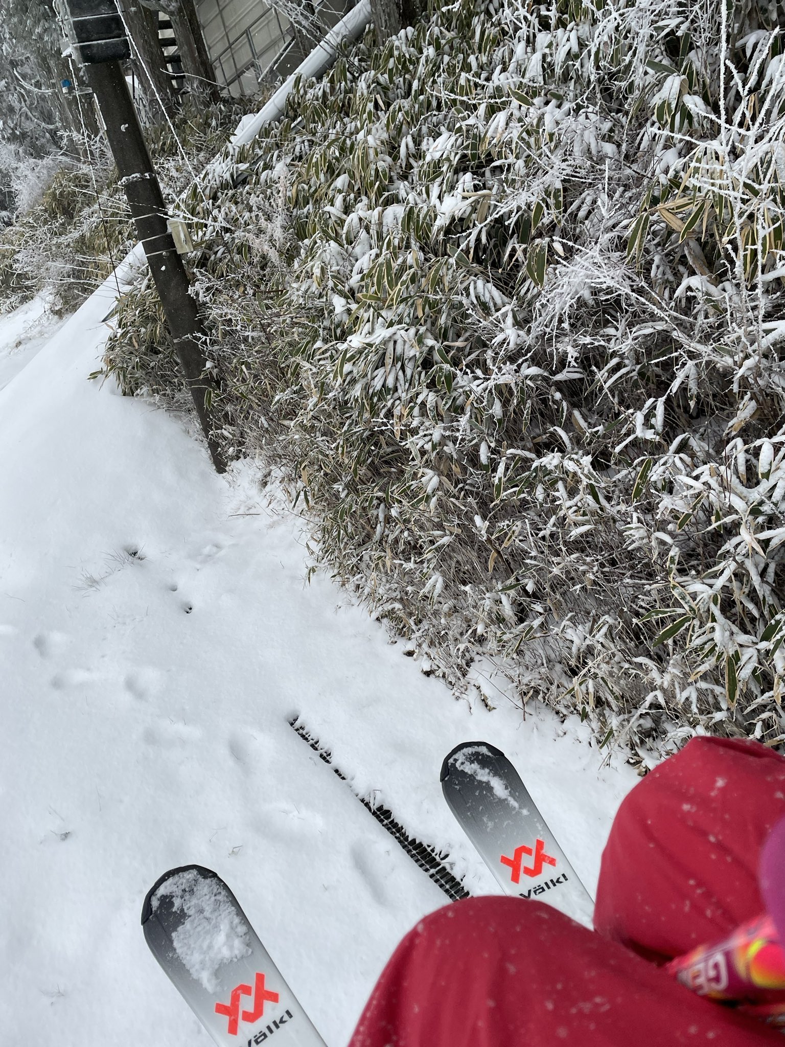 六甲山スノーパーク 公式 Rokkosan Snow Twitter