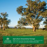 Apply now for round 2 of Aust Govt’s Carbon+Biodiversity Pilot! Round 1 showed farmers are keen to sell and there are willing buyers. Find out how you can receive payment for plantings that promote Australian biodiversity and store carbon: https://t.co/1MOXxIKDxC 