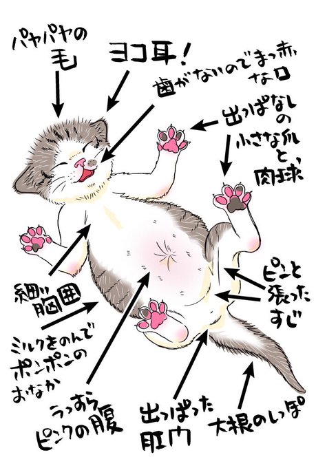 ぎゃーーーー❤️❤️❤️
まんまこれ過ぎて泣いてしまう😭🙏✨

ほかほかピンク…尊い✨ https://t.co/0MS7mtQV5X 