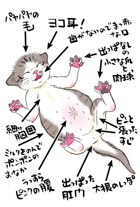 ぎゃーーーー❤️❤️❤️
まんまこれ過ぎて泣いてしまう😭🙏✨

ほかほかピンク…尊い✨ https://t.co/0MS7mtQV5X 