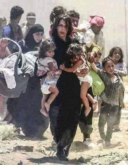 عذرا يا إبن الخطاب فإنه لم تتعثر بغلة في العراق بل تعثرت أمة كاملة عندما قادها البغال 💯
#فربق_مجاهدون