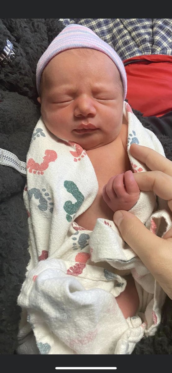 Coach Lee tweet media