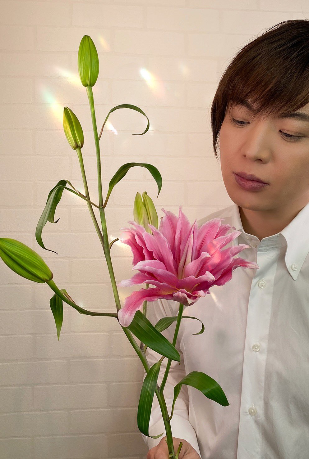 竹島宏スタッフ 公式 Twitterissa ユリ 八重 ピンク 花言葉は 富と繁栄 蕾の中でたった1輪咲く 美しい八重のユリ 選ばれて先に咲いたのか 不思議です 皆さんへ縁起の良い言葉 富と繁栄 を 今日も1日お疲れ様でした ひろネット 花便り 花 竹島宏スタッフ 公式 Twitterissa ユリ 八重 ピンク 花言葉は 富と繁栄 蕾の中でたった1輪咲く 美しい八重のユリ 選ばれて先に咲いたのか 不思議です 皆さんへ縁起の良い言葉 富と繁栄 を 今日も1日お疲れ様でした ひろネット 花便り 花