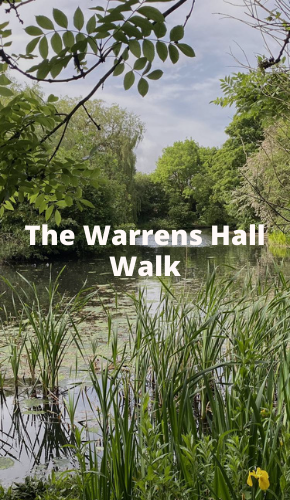 gojauntly's tweet photo. People of #Sandwell are you looking for new walking routes to discover? We have 10 carefully curated local walks on the app for you to enjoy 📲 https://t.co/RzMZhGO8fr #MoveMoreSandwell https://t.co/n21LlcbFel