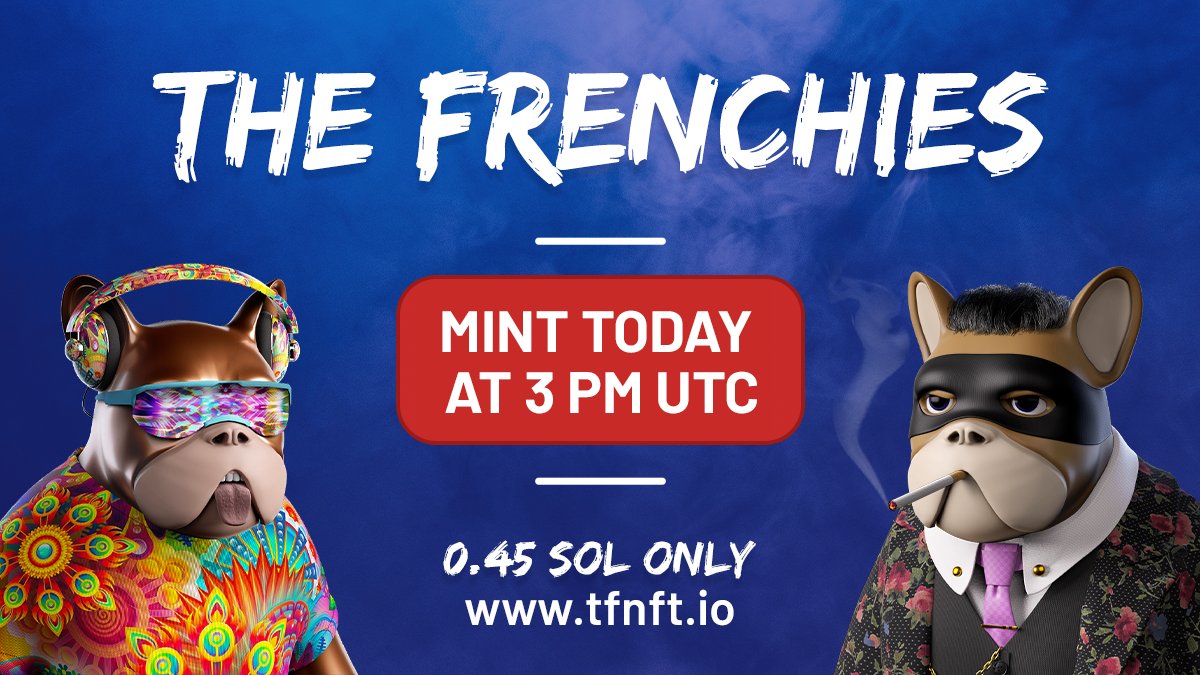TheFrenchiesNFT's tweet photo. 🚨  MINT IS TODAY - 3pm UTC !

Less than 3.5 hours from now !! Let's GOOO !! 🚀

Try your luck to Mint a Frenchie designed by artists who work in major European animation studios (Minions: the rise of the guru, Sing 2...). 🔥

#MintOfTheDay #Solana #NFTProject #Launching https://t.co/gya1Yu3pGG