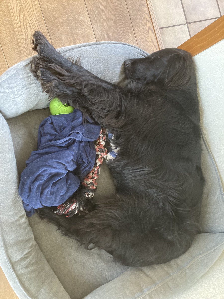 Thuiswerken en dan dit zien… kan ik zo jaloers op worden hè 😴😉