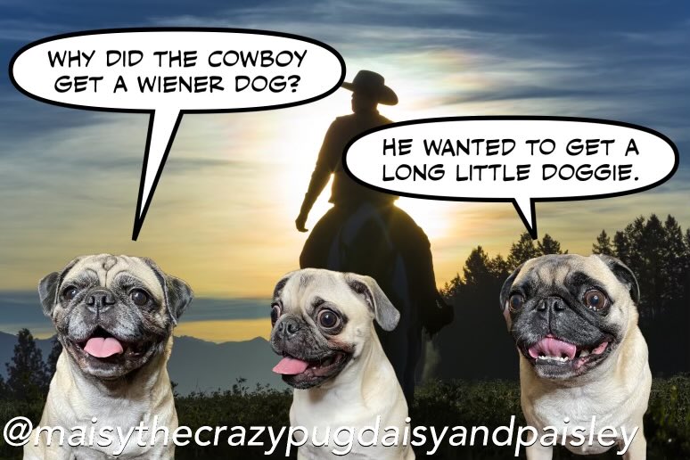 HowdyPartner - A little cowboy talk from the girls.