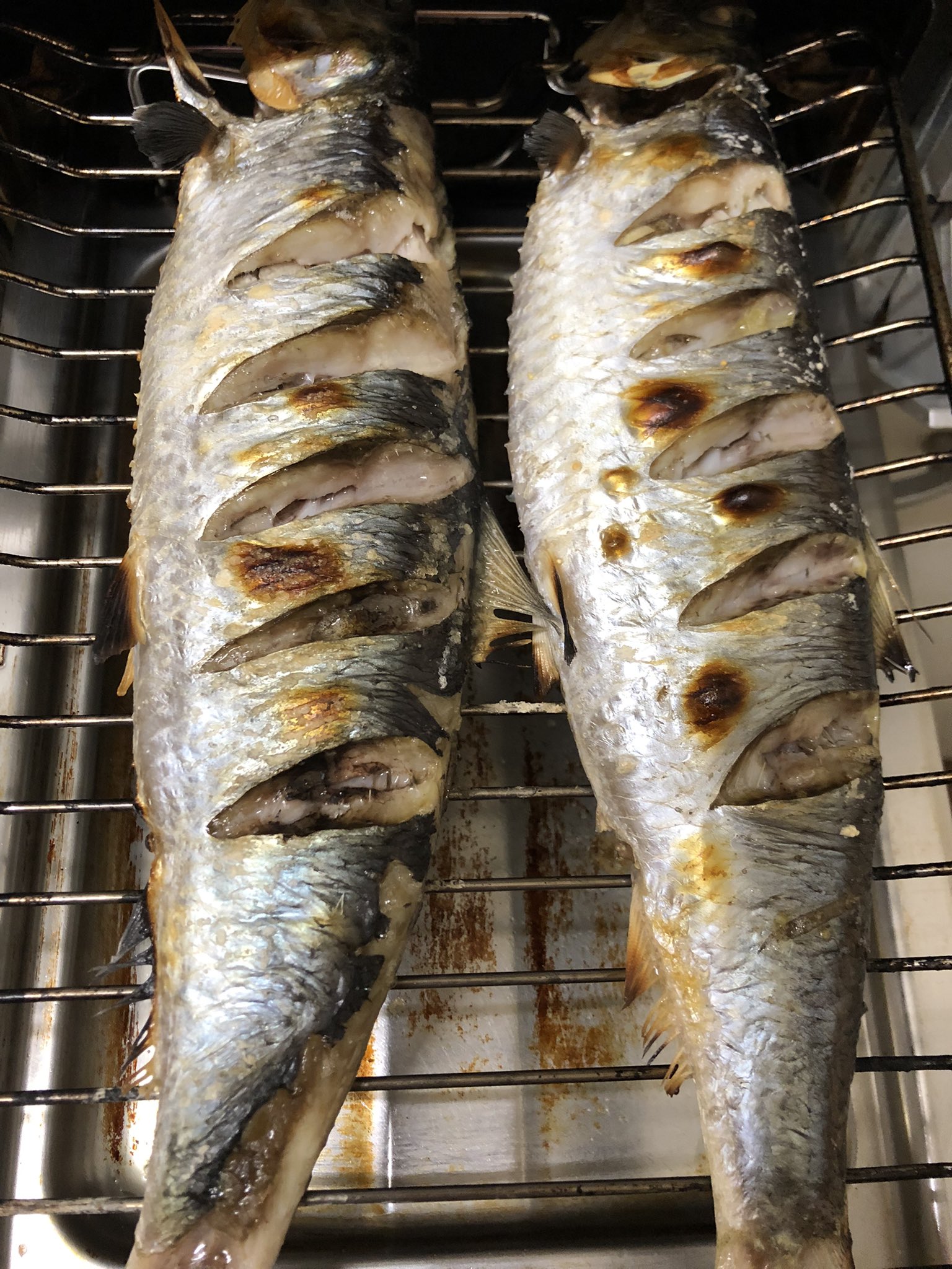 ニシンの塩焼き Twitter Search Twitter