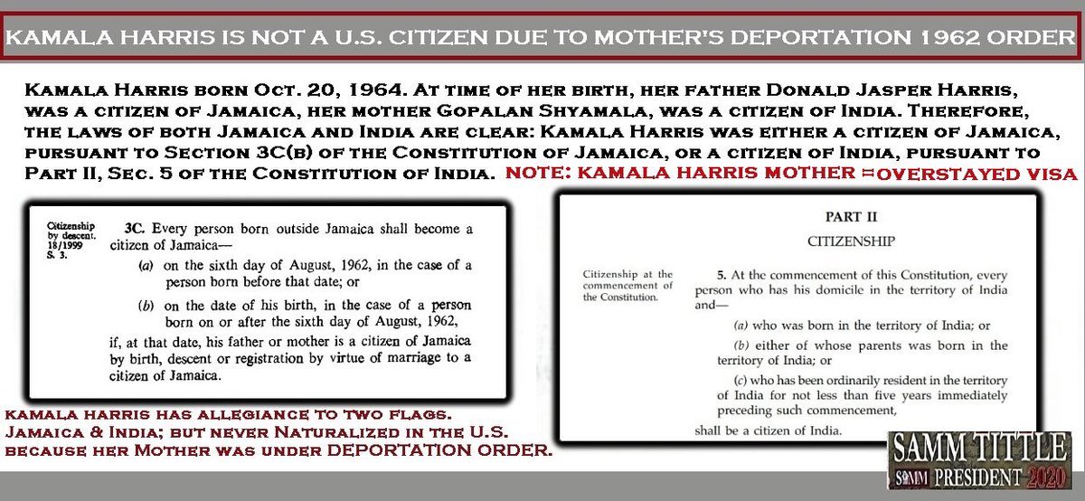 CPofUSA's tweet photo. “DOCUMENTS DONT LIE” .@JoeNBC .@JoeNBC_  .@MikaBrezinski .@WillieGeist .@MichaelSteele @jheil .@SAMMPOTUS HAD OVER 74,000 VOTES ON OCT26,2020 &amp; YES #MassVoterFraud2020 UNDER .@RepLujanGrisham SHUD BE IN PRISON IN CELL NEXT TO .@SpeakerPelosi #CPofUSA https://t.co/fiReZsV0M1 https://t.co/RJbgUQLSM5