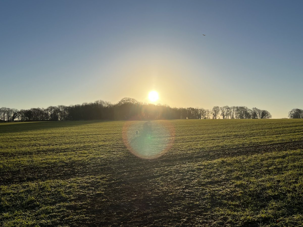 Ed Tranter (@edtranter) on Twitter photo It may not be as warm as California, but I love where I live…lovely dog walk this morning #countrylife #chillymorningwalks #beautiful #gardenofengland It may not be as warm as California, but I love where I live…lovely dog walk this morning #countrylife #chillymorningwalks #beautiful #gardenofengland
