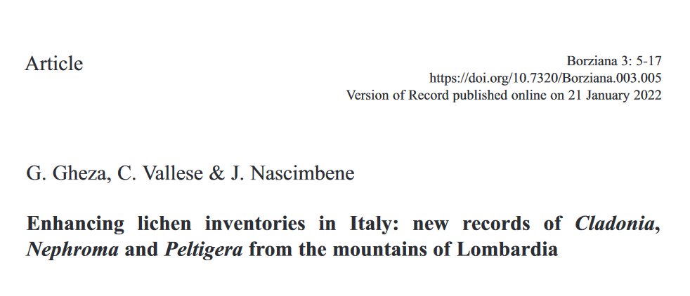 SLichenologica's tweet photo. Now available!
G. Gheza, C. Vallese & J. Nascimbene: Enhancing #lichen inventories in Italy: new records of Cladonia, Nephroma and Peltigera from the #mountains of #Lombardia.
Borziana 3: 5-17.
https://t.co/CjqLZIt8d9
@UniboBiome @Unibo #diversity #Alps #macrolichens #Prealps https://t.co/Ngyy6XjwWg