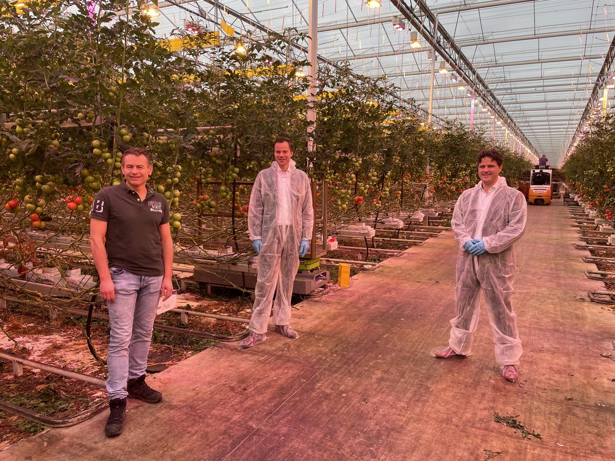 Vanmorgen op werkbezoek in Lansingerland, met wethouder ⁦<a href="/jwvdenb/">Jan-Willem van den Beukel</a>⁩ te gast bij tomatenkwekerij ⁦<a href="/Solyco/">Solyco</a>⁩. Gesproken over verduurzaming en de impact van de hoge gasprijzen. Veel respect voor deze ondernemers!