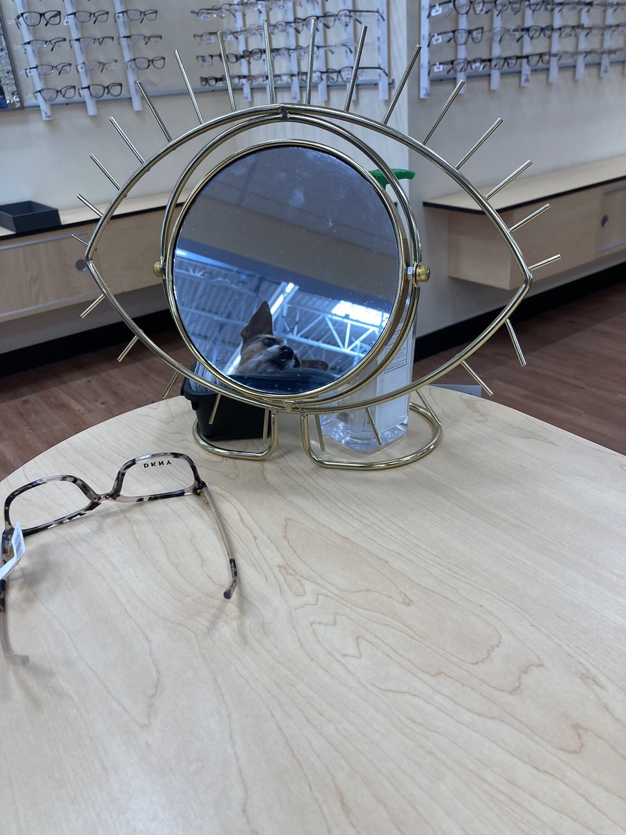 Eye spy lol: 👁🐶👓
#eye #mirror #glasses #eyeglasses #visioncenter #walmart #eyespy #thethingsyouseeinwalmart #dogsoftwitter