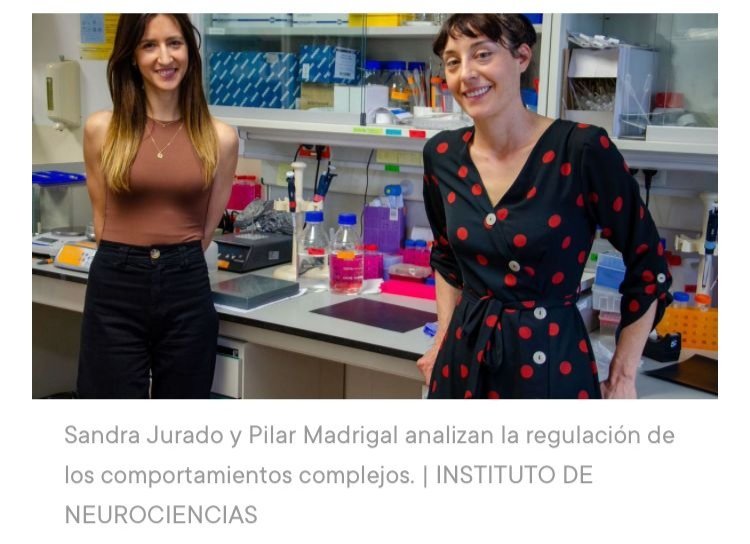 Doce hitos de la ciencia en 2021 informacion.es/elche/2022/01/… a través de <a href="/informacion_es/">INFORMACION.es</a>