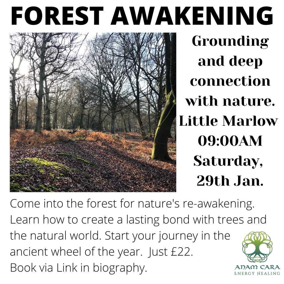 eventbrite.co.uk/e/forest-awake…