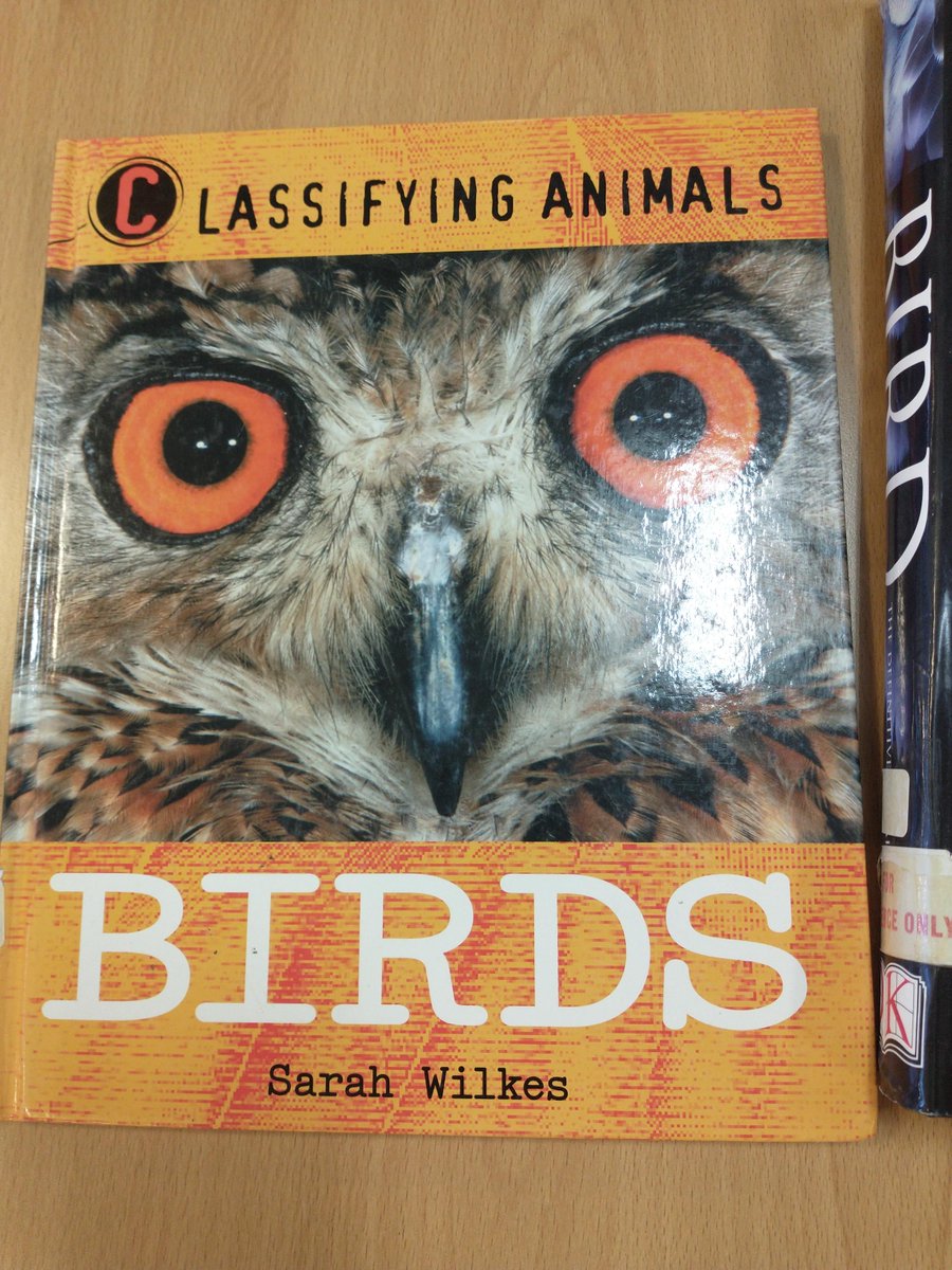 BarlbyScience's tweet photo. Calling our Year 7-  fabulous books available in our library to support the RSPB Big Garden Birdwatch next week 28-30 January.
#rspbbiggardenbirdwatch2022 https://t.co/kVCOGkEJVA