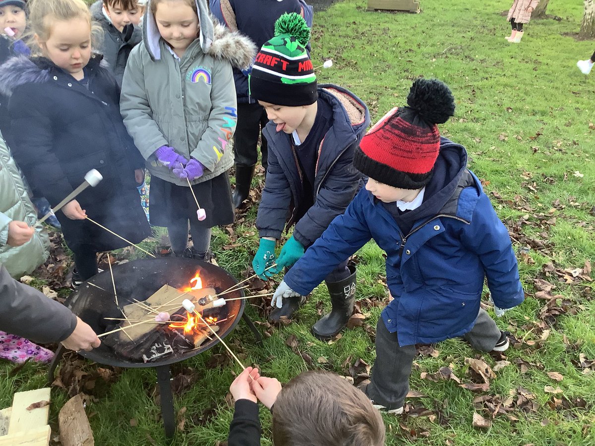 Highbank Forest School tweet media