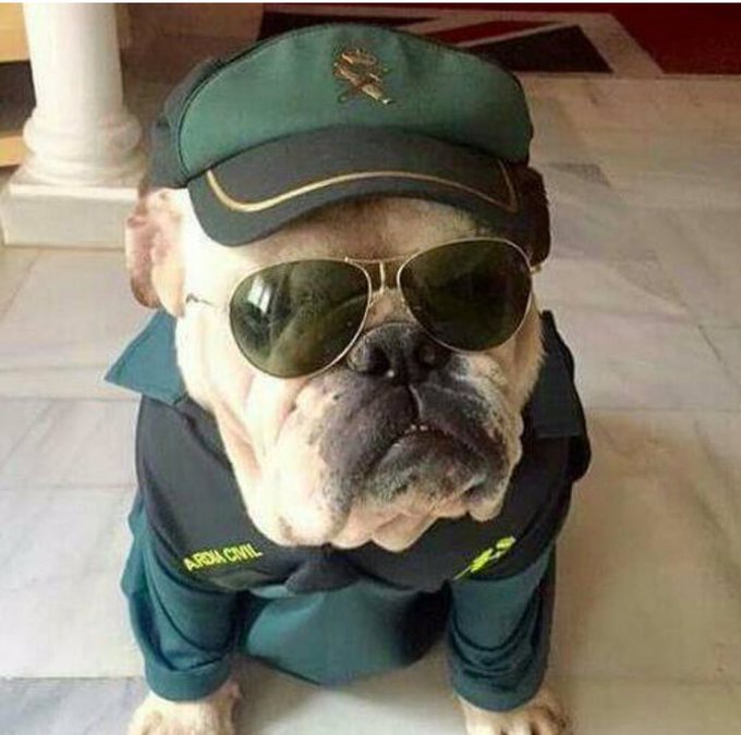 guardiacivil's tweet photo. ¡Ufff!
Despertar... viernes... las nueve...😴
No nos extraña que se te quede esta cara... a nosotros también... pero todo mejorará, viene el #findesemana https://t.co/8Ixg2zZtz7
