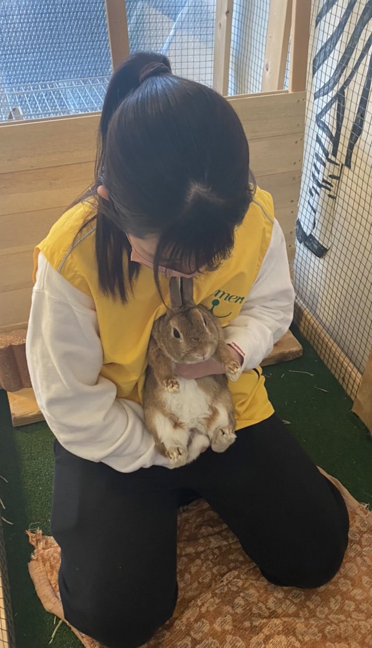 ブレーメン動物専門学校 Bremen School Twitter