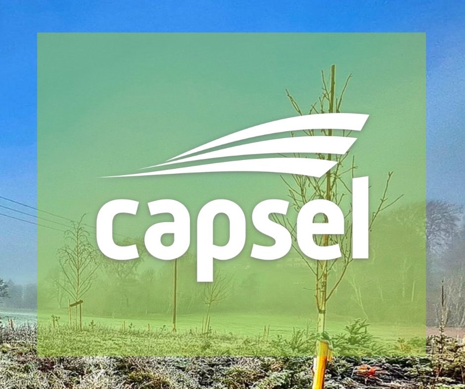 Capsel Homes tweet media