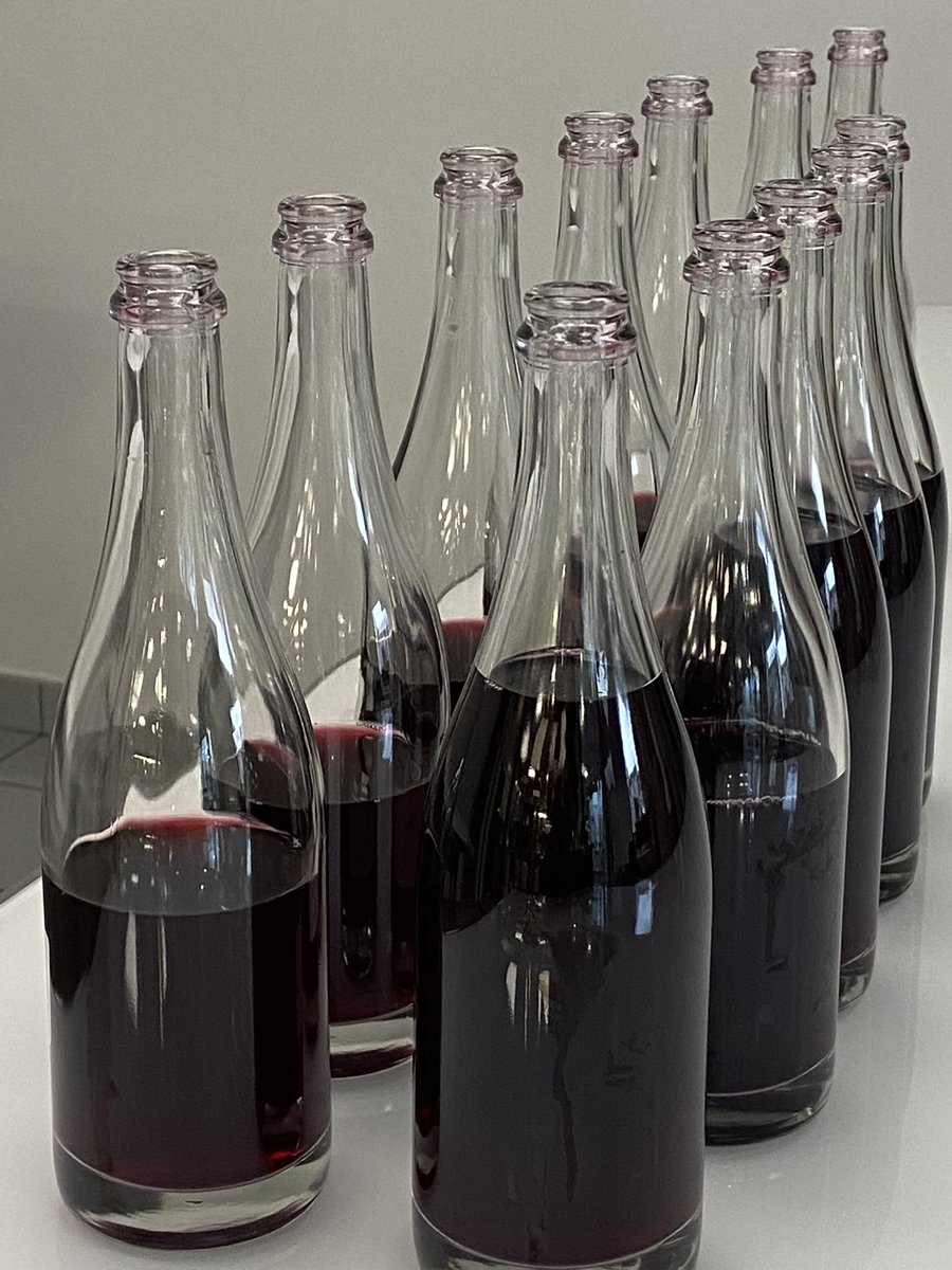 LouisRoederer_'s tweet photo. Look who joined us for today’s tasting!!! Our new kid: #HommageaCamille 2021 Pinot noir from single vineyard “Milnon” in Dizy. #CoteauxChampenois #NoBubbles #MassalSelection #HighDensity planted #Organic farming #TeamRoederer #LovePhenolics #InPursuitofTaste -JBL https://t.co/whSflLnQTo