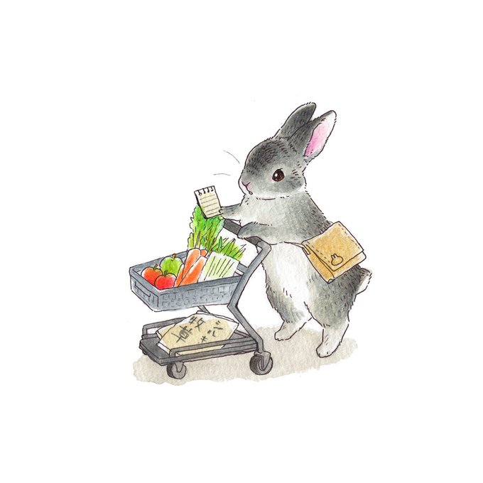 「groceries」 illustration images(Latest｜RT&Fav:50)