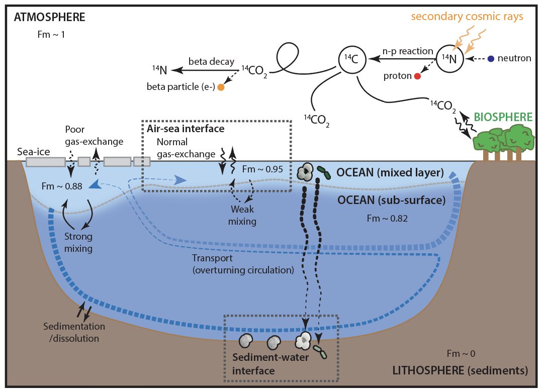 Florindo_fabio's tweet image. Reviews of Geophysics: In a new paper titled "Radiocarbon as a Dating Tool and Tracer in Palaeoceanography" L.C.Skinner and E.Bard review the main principles and challenges involved in the use of #radiocarbon in #palaeoceanography @theAGU #AGUpubs doi.org/10.1029/2020RG…