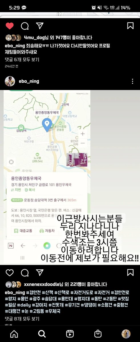 행복한 탐라에 많은 분들의 도움이 필요해 올립니다 친구 강아지가 운동장에서 놀다가 열린 문틈으로 나가버렸습니다.
알티 부탁 드려요

#용인 #고림동 #고진역 #송담대역 #경안천 #경안천로 #용인외대 #명지대 #용인대 #산책 #대형견