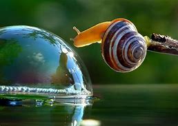 "If you're not working hard, ideas don’t matter. The best idea is worthless without execution.
If you're already working hard, ideas are crucial. Most effort is wasted on mediocre ideas."
-James Clear