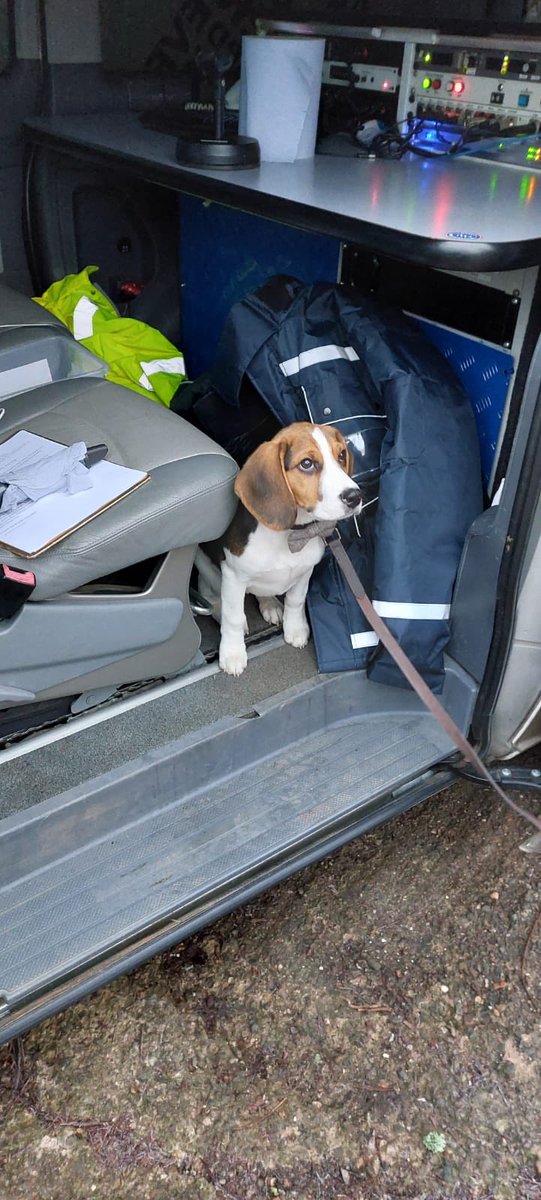 BBC Hereford & Worcester tweet media