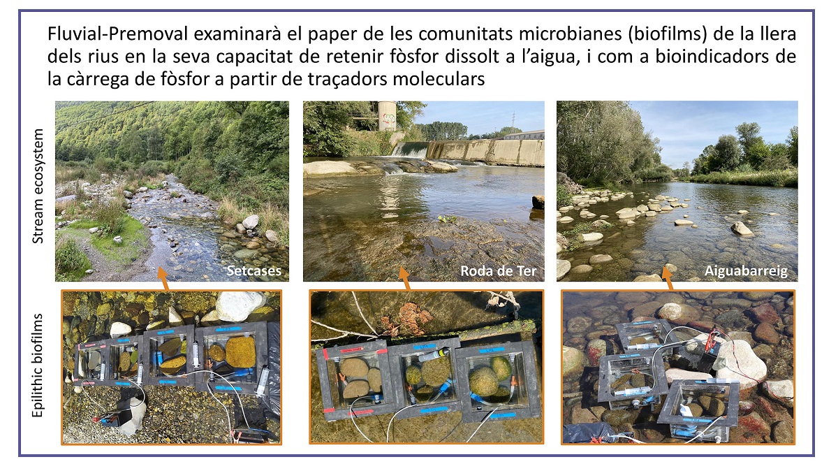 ceabcsic's tweet photo. El projecte #FluvialPremoval té com a objectiu aportar eines per a la gestió dels efectes de la contaminació per #fòsfor en ecosistemes fluvials a través de mètodes de recerca avançada com la #biogeoquímica fluvial o la #ecotoxicologia microbiana 🦠🏞️

👉https://t.co/T736JWoajo https://t.co/3iJmclzmwe