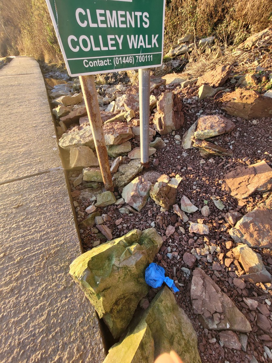 BarryIdeasbank's tweet photo. Another #dogpoowonker at Jacksons Bay this morning. What is in the minds of dog owners who go to the trouble of putting their dog poo in a bag but then leave the bag? Would be better leaving to nature. Name and shame.
#BeautifulBarry https://t.co/hXbR6y6PKJ