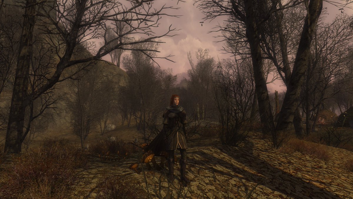 PinkWingedThing's tweet image. Picking up where I left off 5 years ago, stepping into the Murk-Eaves. Fantastic atmosphere! Especially the gloom at night. #lotro #lotrofamily