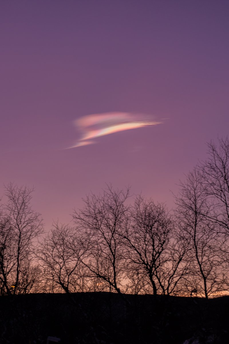 Northern Lights and polar stratospheric clouds 💛

The sky over Lapland has been treating us to some rare and beautiful displays lately. ✨

#northernlights #utsjoki #spaceweather