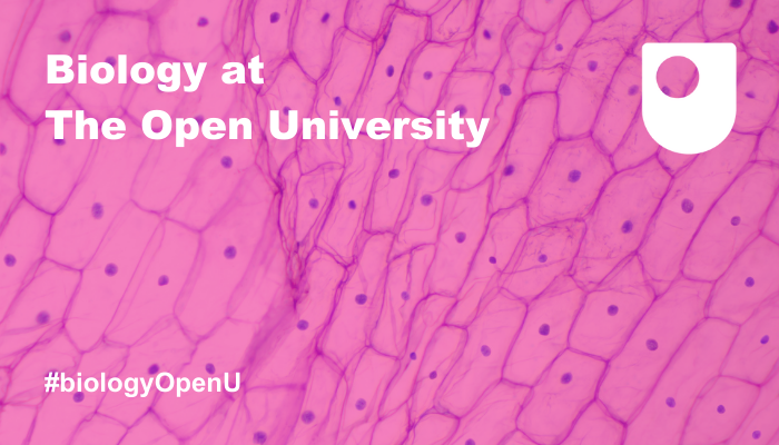 OU_LHCS's tweet photo. 📣New paper alert!

 #NeurOpenU cluster members David Male and Radka Gromnicova review how gene therapy is used to treat brain diseases - how can we get treatments past the blood-brain barrier?

👉Read the article here: https://t.co/YXti9i4J3Q
#biologyOpenU https://t.co/PN5xBFVhFi