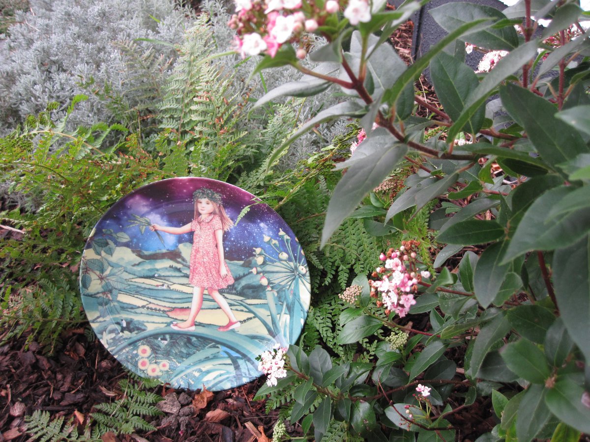 clarelibrary's tweet image. Pictured in our Sensory Garden at Shannon Library is a beautiful plate received today which was gifted to us by The Arts Office and Clare County Council.

It features the work of artist Ann McBride and is on display in the library.

#shannonlibrary #librariesireland