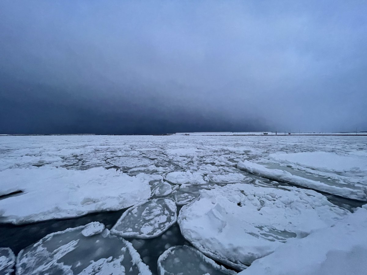 お仕事で北海道にいるんですけど、海が白いです…