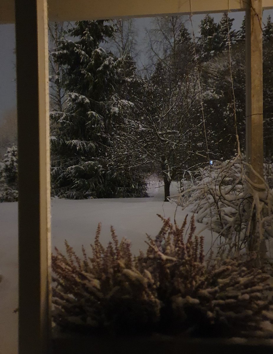 ElliCat9's tweet photo. It has been snowing, again. Where are you spring? ❄🥶 I want to use my catio again 🌱🌞
#CatsOfTwitter #Snow #CatsOnTwitter #BeKind #WhereAreYouSpring https://t.co/JFpZwk8MX3