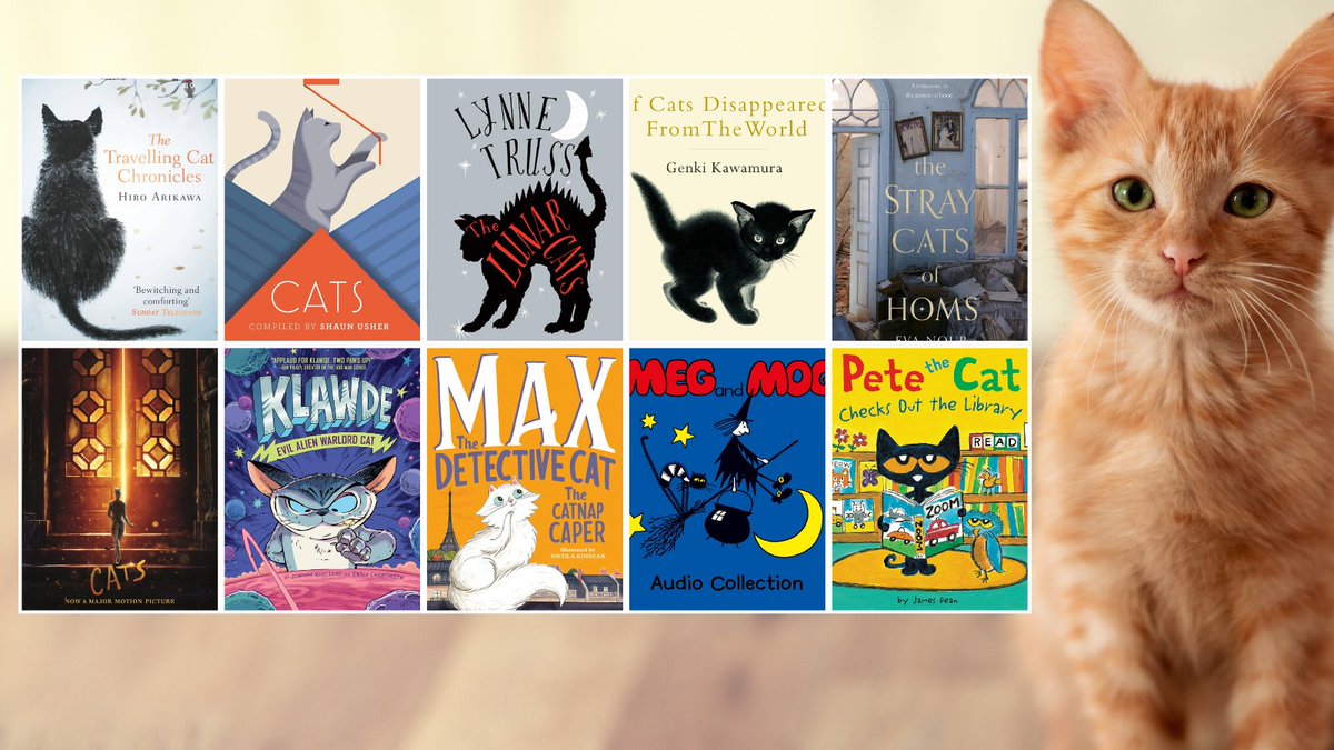 warkslibraries's tweet photo. Lots to read about in our newsletter this week - https://t.co/T0HwoAoevi

...and here are some cats to brighten up your week! Feel free to send us pictures of your #PetsReading https://t.co/9iUXOsCOxm