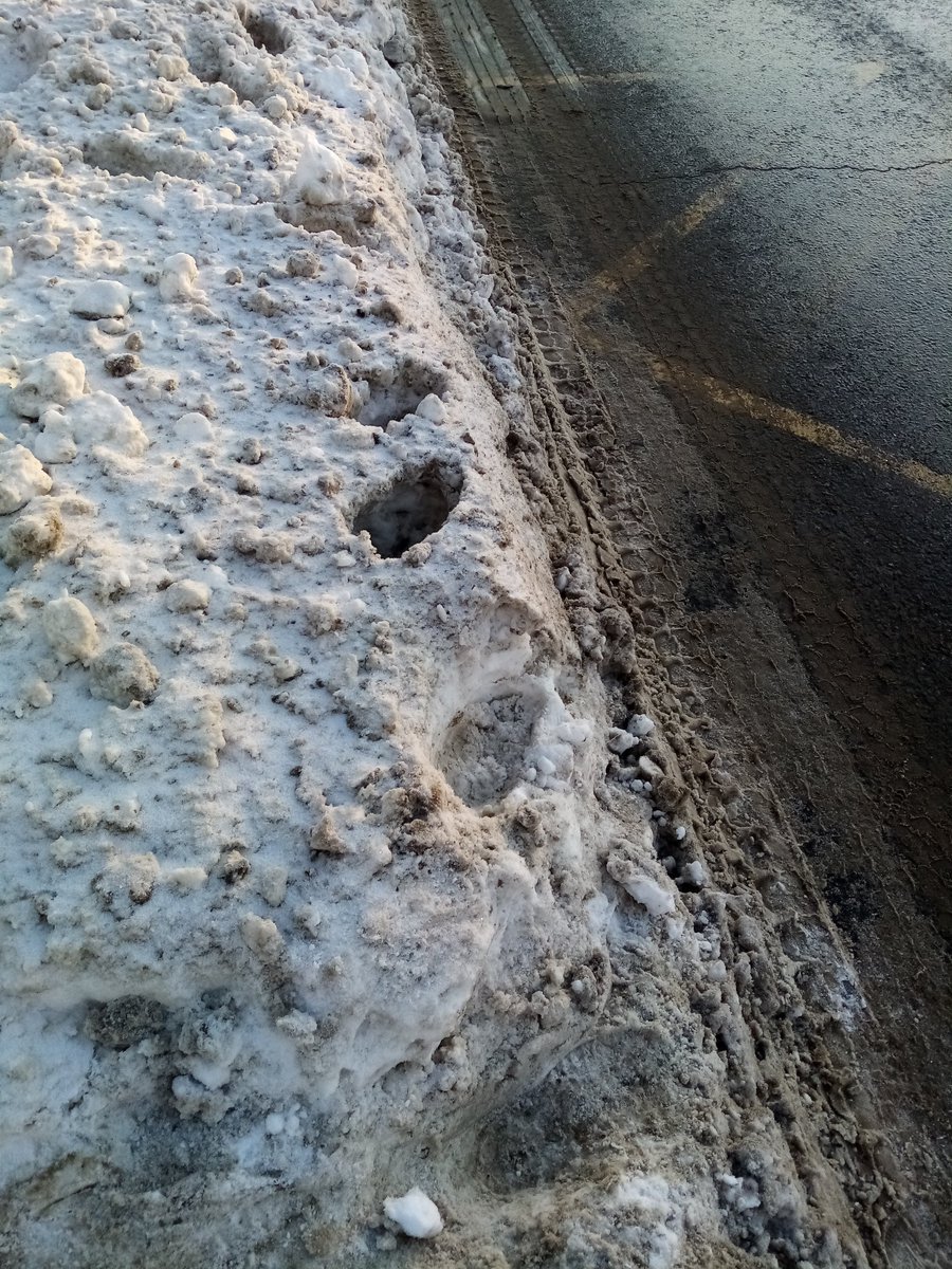 Ольга tweet media