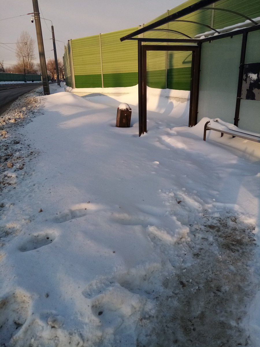 Ольга tweet media