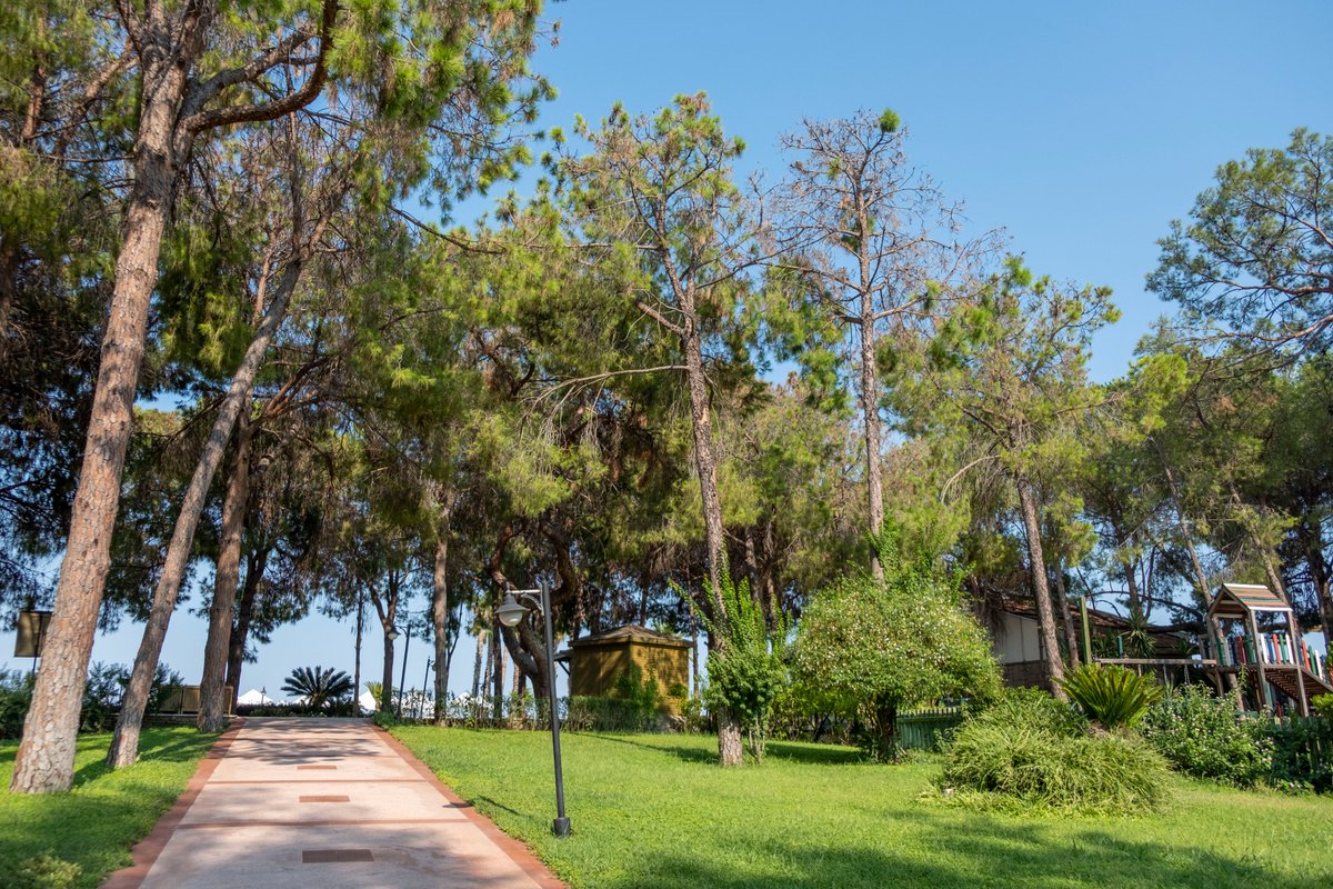 Tag the person you want to enjoy a romantic walk within the comments below.

Отметьте в комментарии человека, с которым хотите совершить романтическую прогулку по этой дороге.

bit.ly/championhv
.
#ChampionHolidayVillage #Türkiye #Kemer #HeavenInTheBlueMediterranean