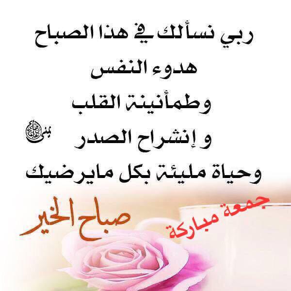 أمل الحمود الصباح (@alshamka77) on Twitter photo 