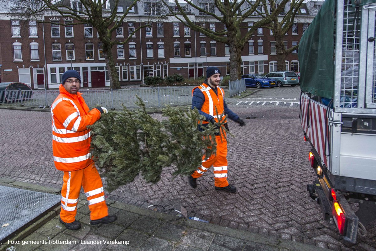 Stadsbeheer010's tweet photo. #Kerstbomen 🌲worden houtsnippers en compost, dus ♻️hergebruikt! Wij zamelen bomen tot en met 6 februari apart in. Jouw #Kerstboom kun je kwijt naast de #Wijkcontainer (niet op de containerplaat) of op jouw huiscontainer-aanbiedplek. https://t.co/JcxNv5lD13 #KerstboomEruit https://t.co/9BGTCfKzuz