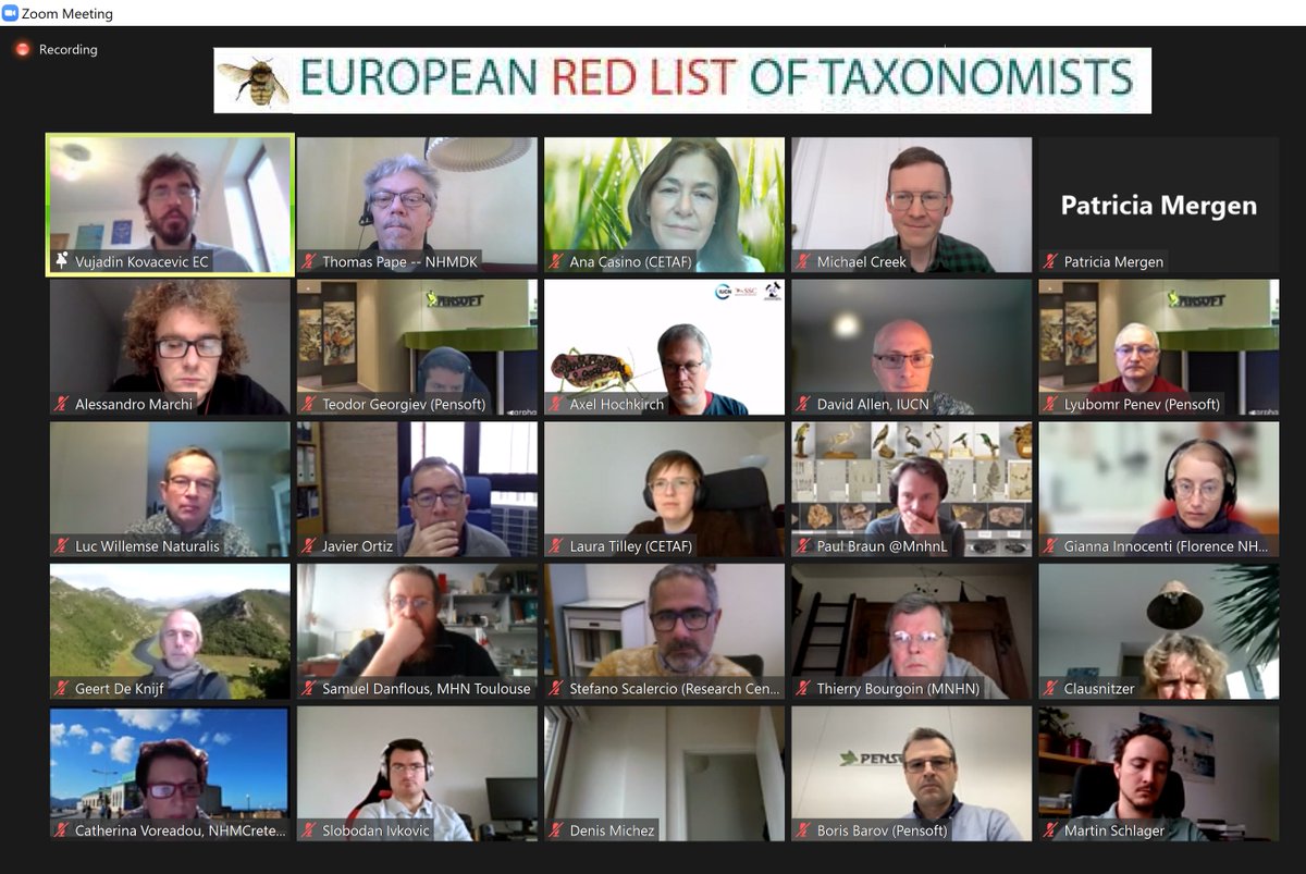 Thomas Pape tweet media