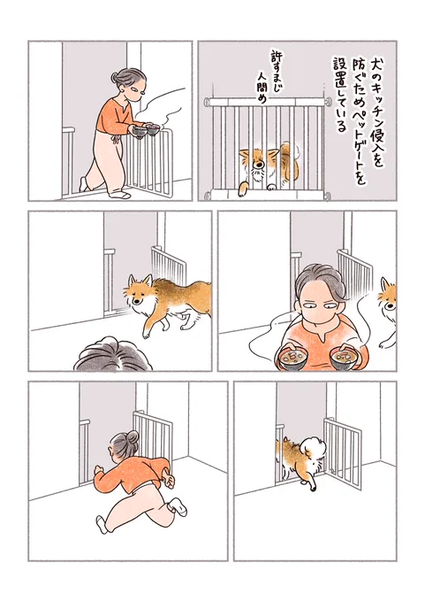 完璧なセキュリティ 