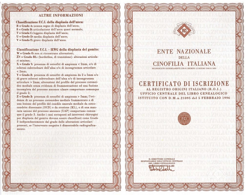 Time4Dog's tweet image. È legale vendere cani senza pedigree? time4dog.it/index.php/blog…