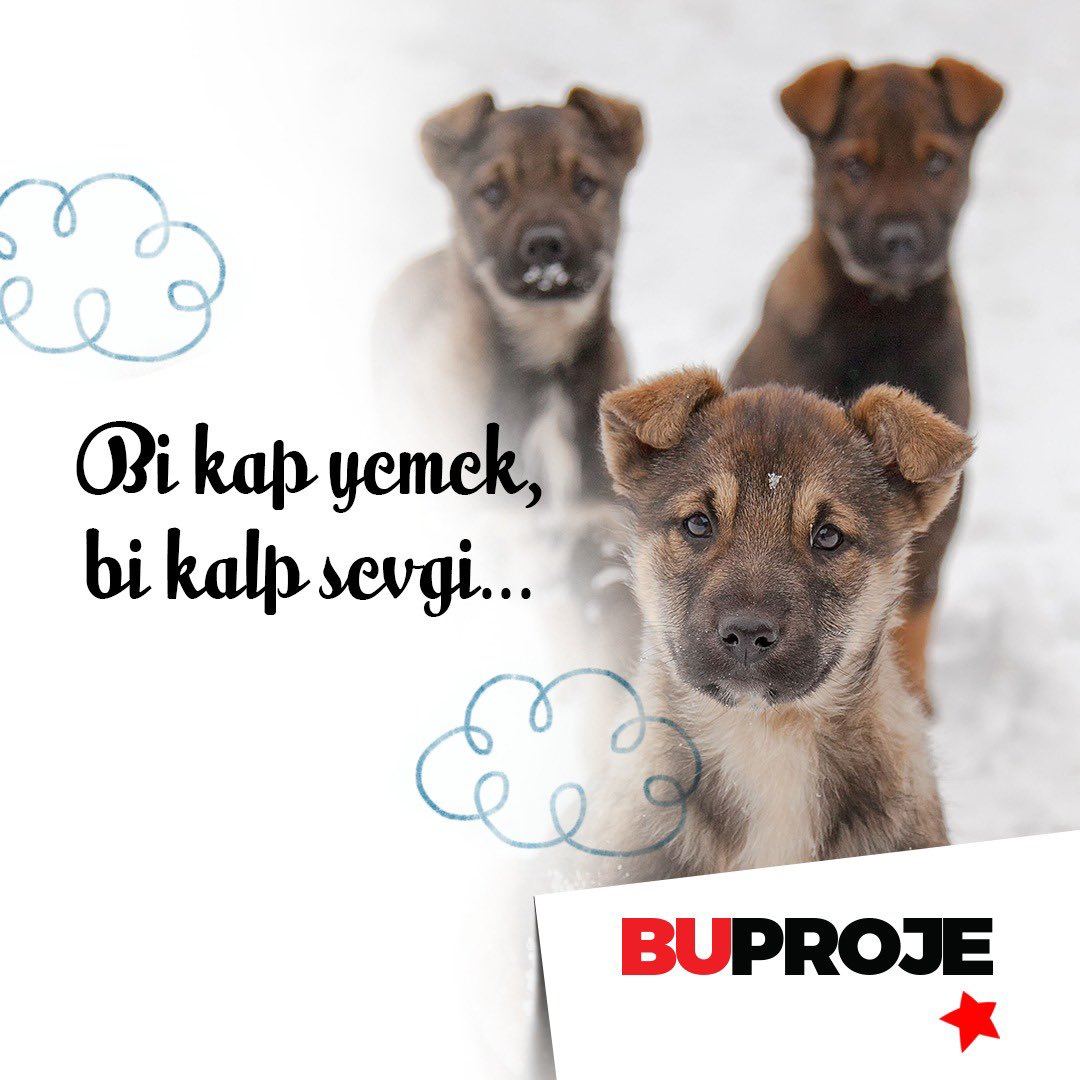 Sokaktaki dostlarımızı unutmayalım, hava çok soğuk !