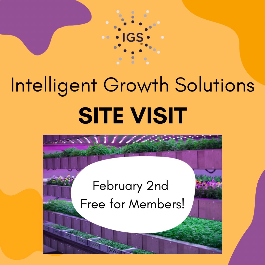 WattWomen's tweet photo. We are so excited to be going on a site visit to @IntelligentGS 🥳 Sign up for your place now⭐️ https://t.co/n8mIHnVBpl https://t.co/ALXgZINVpF