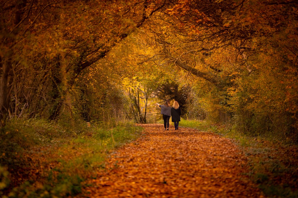 Did you know Highwood is planting over 1,100 trees here at the Park? We've also got some ancient trees which date back to 16th Century. To find out how to spot them, click here: ow.ly/AY5L50H2BP2 
#plantforourfuture #lovewhereyoulive #sustainabledevelopment #ParkLife